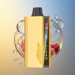 JNR Cruiser 12000 Puffs Grape Eis Animation Screen Display Deutschland Großhandel