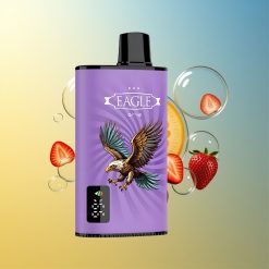 JNR EAGLE Smart 23000 Puffs Erdbeere Kiwi Digital Display Deutschland Großhandel