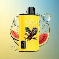 JNR EAGLE Smart 23000 Puffs Kiwi Wassermelone Eis Digital Display Deutschland Großhandel