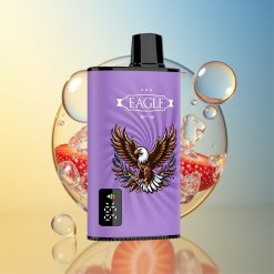 JNR EAGLE Smart 23000 Züge Erdbeere Eis Digitales Display Deutschland Großhandel