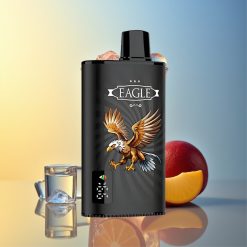 JNR EAGLE Smart 23000 Züge Schwarzbeere Mango Eis Digitales Display Deutschland Großhandel