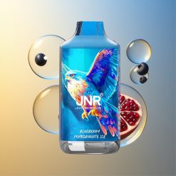 JNR Falcon 16000 Züge Blaubeere Granatapfel Eis Einweg Vape Deutschland Großhandel