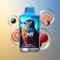 JNR Falcon 16000 Züge Blaubeere Himbeere Kirsche Smart LED Display Deutschland Großhandel