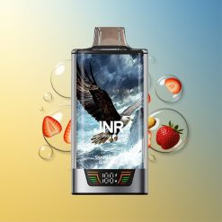 JNR Falcon Pro 28000 28000 Züge Erdbeer Banane Dual Mesh Coil Deutschland Großhandel