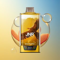 JNR Falcon Pro 28000 28000 Züge Saftige Pfirsiche Smart Display Deutschland Großhandel