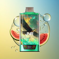 JNR Falcon Pro 28000 Kiwi Wassermelone Eis Dual Mesh Coil Deutschland Großhandel