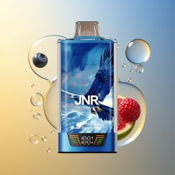 JNR Falcon Pro 28000 MTL Blaubeere Saure Himbeere USB Type-C Deutschland Großhandel