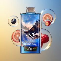 JNR Falcon Pro 28000 Münder Blaubeere Himbeere Kirsche USB Type-C Deutschland Großhandel