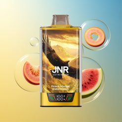 JNR Falcon Pro 28000 Zigaretten Pfirsich Mango Wassermelone USB Typ-C Deutschland Großhandel