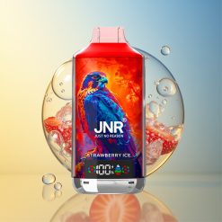 JNR Falcon X 18000 Puffs Erdbeer Eis Deutschland Großhandel