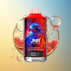 JNR Falcon X 18000 Züge Erdbeer Wassermelone Eis Deutschland Großhandel