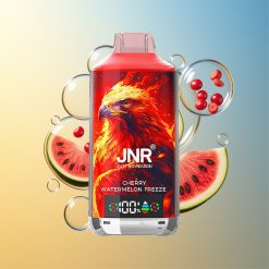 JNR Falcon X 18000 Züge Kirsch-Wassermelonen-Eis Deutschland Großhandel