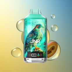 JNR Falcon X 18000 Züge Passionsfrucht Kiwi Deutschland Großhandel