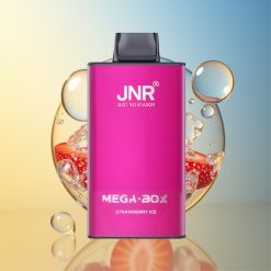 JNR Mega Box 25000 Züge Erdbeer Eis Deutschland Großhandel