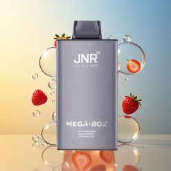 JNR Mega Box 25000 Züge Erdbeere Himbeere Kirsche Eis Deutschland Großhandel