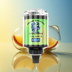 JNR Mega Shisha Hookah 100K 2xApfel Typ-C Schnellladung Deutschland Großhandel