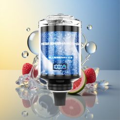JNR Mega Shisha Hookah 100K Blaubeere Eis 100000 Züge Deutschland Großhandel