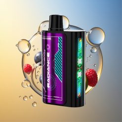 JNR Radiance 31000 Züge Blaubeere Saure Himbeere Dual Mesh Coil Deutschland Großhandel