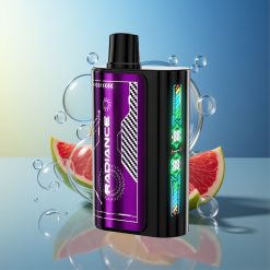 JNR Radiance 31000 Züge Blaue Himbeere Kirsche Dual Mesh Coil Deutschland Großhandel