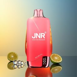 JNR Rainbow 10500 Züge Rote Mojito 18ml Deutschland Großhandel