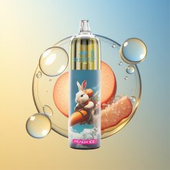 JNR Rocket-X 12400 Puffs Pfirsich Eis RGB Licht Deutschland Großhandel