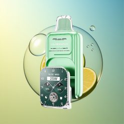 JNR VapeWatch 30000 Züge Miami Minze Dual Mesh Coil Deutschland Großhandel