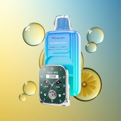 JNR VapeWatch 30000 Züge Saurer Apfel Eis Dual Mesh Coil Deutschland Großhandel