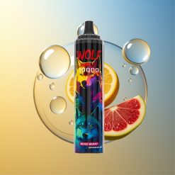 JNR Wolf Niplo 10000 Puffs Mischbeere Typ-C Schnellladung Deutschland Großhandel