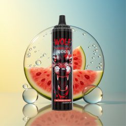 JNR Wolf Niplo 10000 Züge Wassermelone Eis Typ-C Schnellladung Deutschland Großhandel