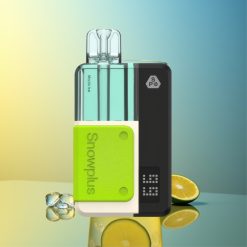 Snowplus Swift 15000 Züge Mojito Eis Dual Mesh Deutschland Großhandel