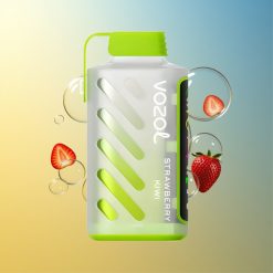 VOZOL Gear Power 20000 Hübe Erdbeere Kiwi Deutschland Großhandel