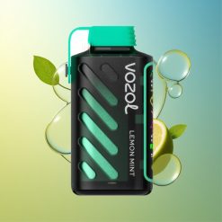 VOZOL Gear Power 20000 Hübe Zitrone Minze Dual Mesh Coil Deutschland Großhandel