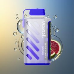 VOZOL Gear Power 20000 Züge Blaubeer Sturm Dual Mesh Coil Deutschland Großhandel