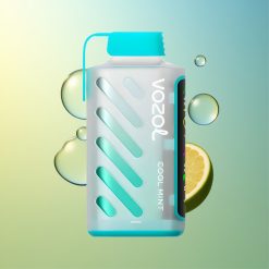 VOZOL Gear Power 20000 Züge Cool Minze Deutschland Großhandel