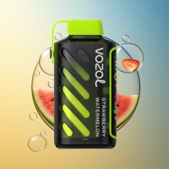 VOZOL Gear Power 20000 Züge Erdbeer Wassermelone Dual Mesh Coil Deutschland Großhandel