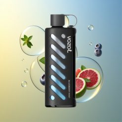 VOZOL Gear Shisha 25000 Züge Blaubeere Minze Deutschland Großhandel