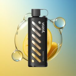 VOZOL Gear Shisha 25000 Züge Mangofrost Dual Mesh Dual Modes Deutschland Großhandel