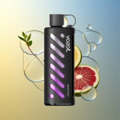 VOZOL Gear Shisha 25000 Züge Traube Minze Deutschland Großhandel