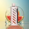 VOZOL Gear Shisha 25000 Züge Wassermelone Eis Dual Mesh Dual Modes Deutschland Großhandel