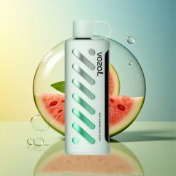 VOZOL Gear Shisha 25000 Züge Wassermelone Minze Deutschland Großhandel