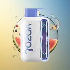 VOZOL STAR 40000 Züge Blaubeere Wassermelone Typ-C Deutschland Großhandel