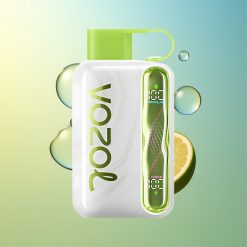 VOZOL STAR 40000 Züge Cool Minze Deutschland Großhandel