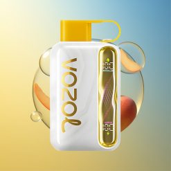 VOZOL STAR 40000 Züge Mango Pfirsich 1000mAh Deutschland Großhandel