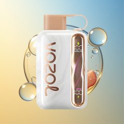 VOZOL STAR 40000 Züge Pfirsich Eis 1000mAh Deutschland Großhandel