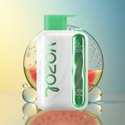 VOZOL STAR 40000 Züge Wassermelone Eis Deutschland Großhandel