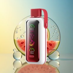 VOZOL Star 20000 Puffs Wassermelone Eis Dual Mesh Deutschland Großhandel