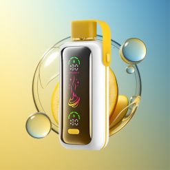 VOZOL Star 20000 Züge Mango Eis Deutschland Großhandel