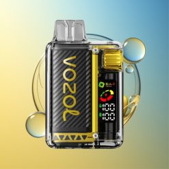 VOZOL Vista 20000 Züge Mango Eis Recycelbares Eco-Material Deutschland Großhandel