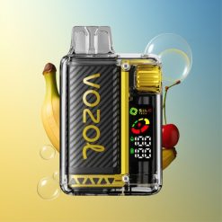 VOZOL Vista 20.000 Züge Drachenfrucht Banane Kirsche OLED Display Deutschland Großhandel